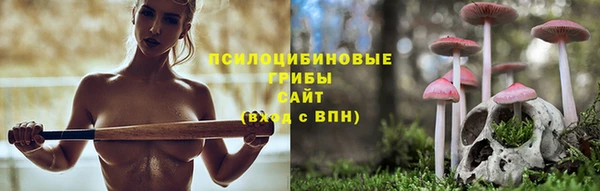 гашик Балабаново