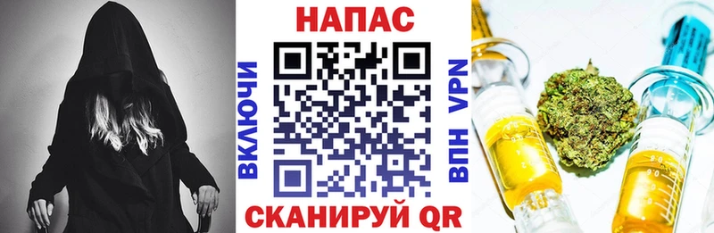 маркетплейс Telegram  купить наркотики цена  Светлоград  Бошки Шишки семена 